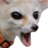 catPOG