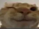 wink