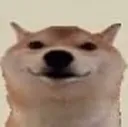dogey dogey
