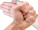 parriEd