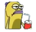idc
