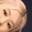 aRosePeeking