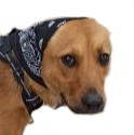 bonjour Discord emoji