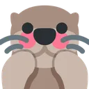 otterflushed2
