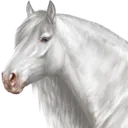 PRE