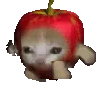 Applecatrun