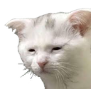sadatrval Discord emoji