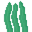 seaweed