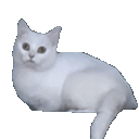 gx_cat_vanish Discord emoji