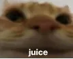 juice