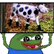 cowboots