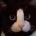 AndyWhenSwell AndyWhenSwell