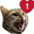 catloveping Discord Emoji