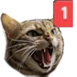 Catping Discord Emoji