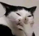 Lol