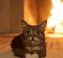 SCfireplace SCfireplace