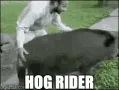 hogrider