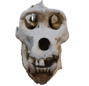 Skull Discord emoji