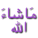 ST_1MashaAllah Discord emoji