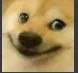 DP_DogeSmile