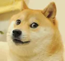 doge Discord Emoji