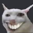 weirdCat weirdCat