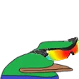 borpaWICKED