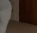 jermaAss4