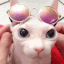 Cat Cool Cat_Cool Discord Emoji