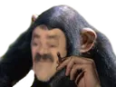 :singe: singe