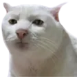 dumbotron