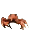 Crab_Rave