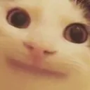 kooblayer