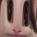 nerdogenesis