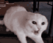 ch_angry Discord emoji