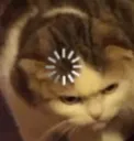 catbuffer