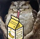owl_juice3