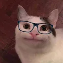 glassesca