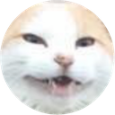 gibagul gibagul