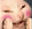 blushcat