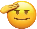 salute salute