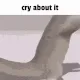 cryaboutit