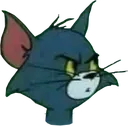 tom tom