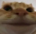 emoji_26