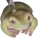 7744sheeshjuliofrog Discord Emoji