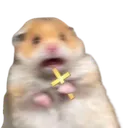 hamster_cross