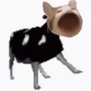 Cowcat cowcat Discord Emoji