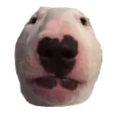 walter