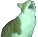 SCscrem SCscrem