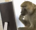 hmm